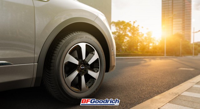 Michelin BF Goodrich’ten İki Yeni Dört Mevsim Lastiği