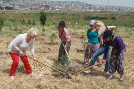 Aktaş Eğitim Vakfının Doğaya Katkısı Sürüyor